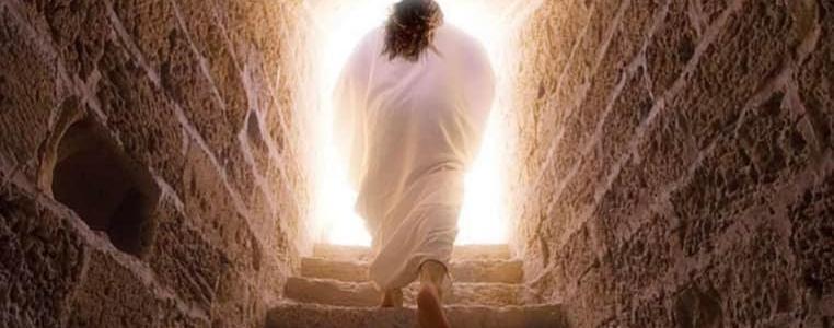 There are 4200 world religions... But there's only one empty tomb. There's only one man who conquered sin, death and hell forever. There's only one way to Heaven. His name is Jesus Christ! 🙌✝️🙌
