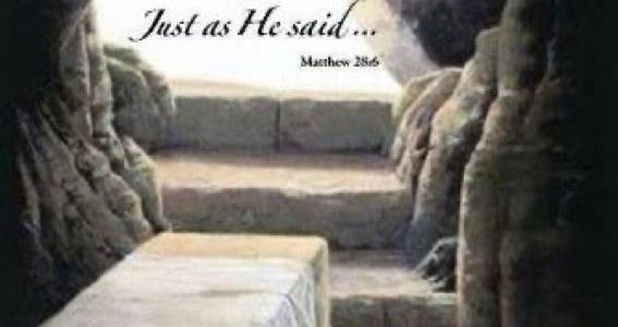 He is not here. HE has RISEN! Just as He said... Matthew 25:6